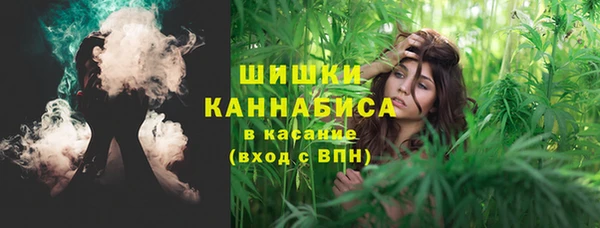 хмурый Михайловск