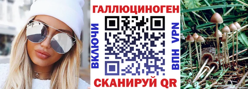 Псилоцибиновые грибы Cubensis Купить Калининск